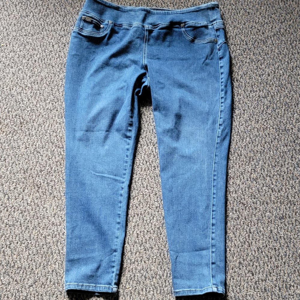 DG2 by Diane Gilman Light Wash Stretch Jeggings Size 1X
